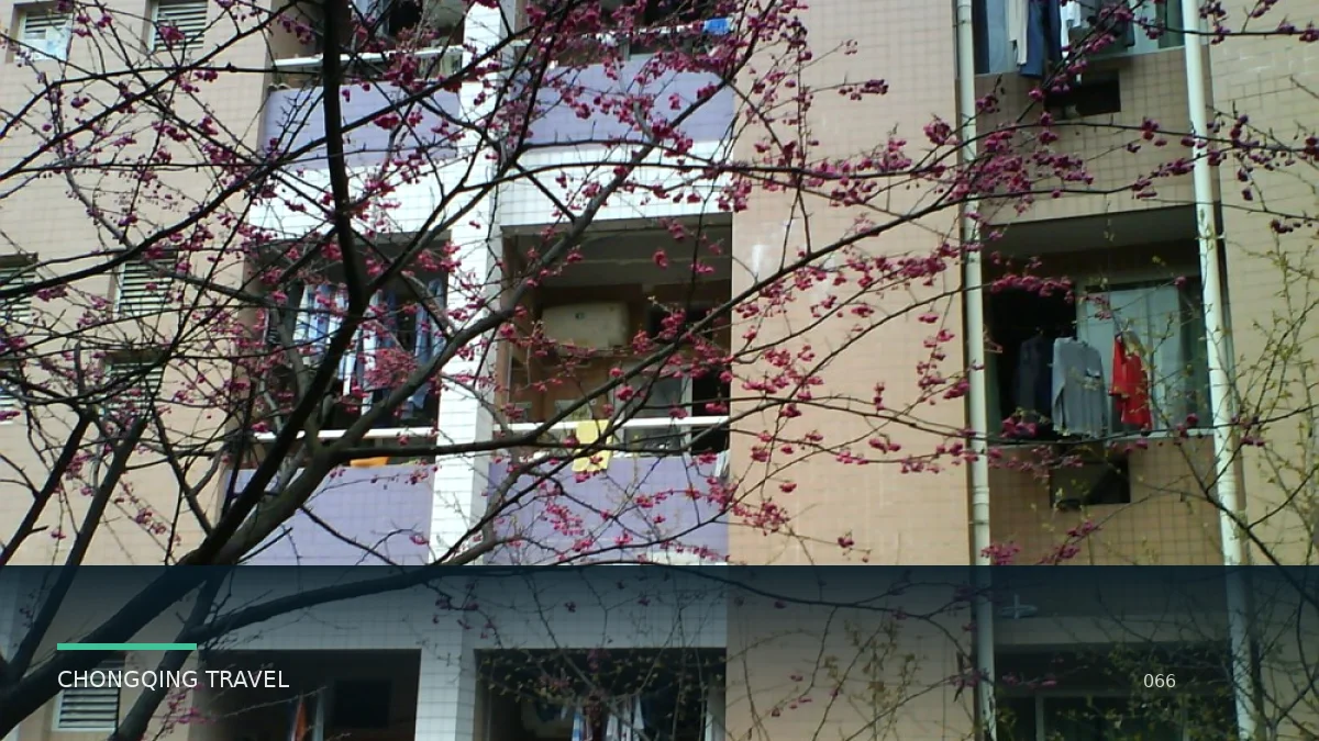 五天四夜重庆加武隆住哪里更合适：按行程反推住宿